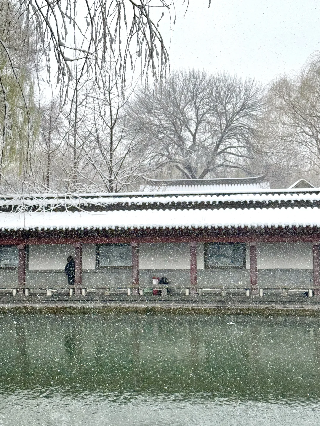 济南降温！！！冬天真的杀疯了！！！！！！（Live图！