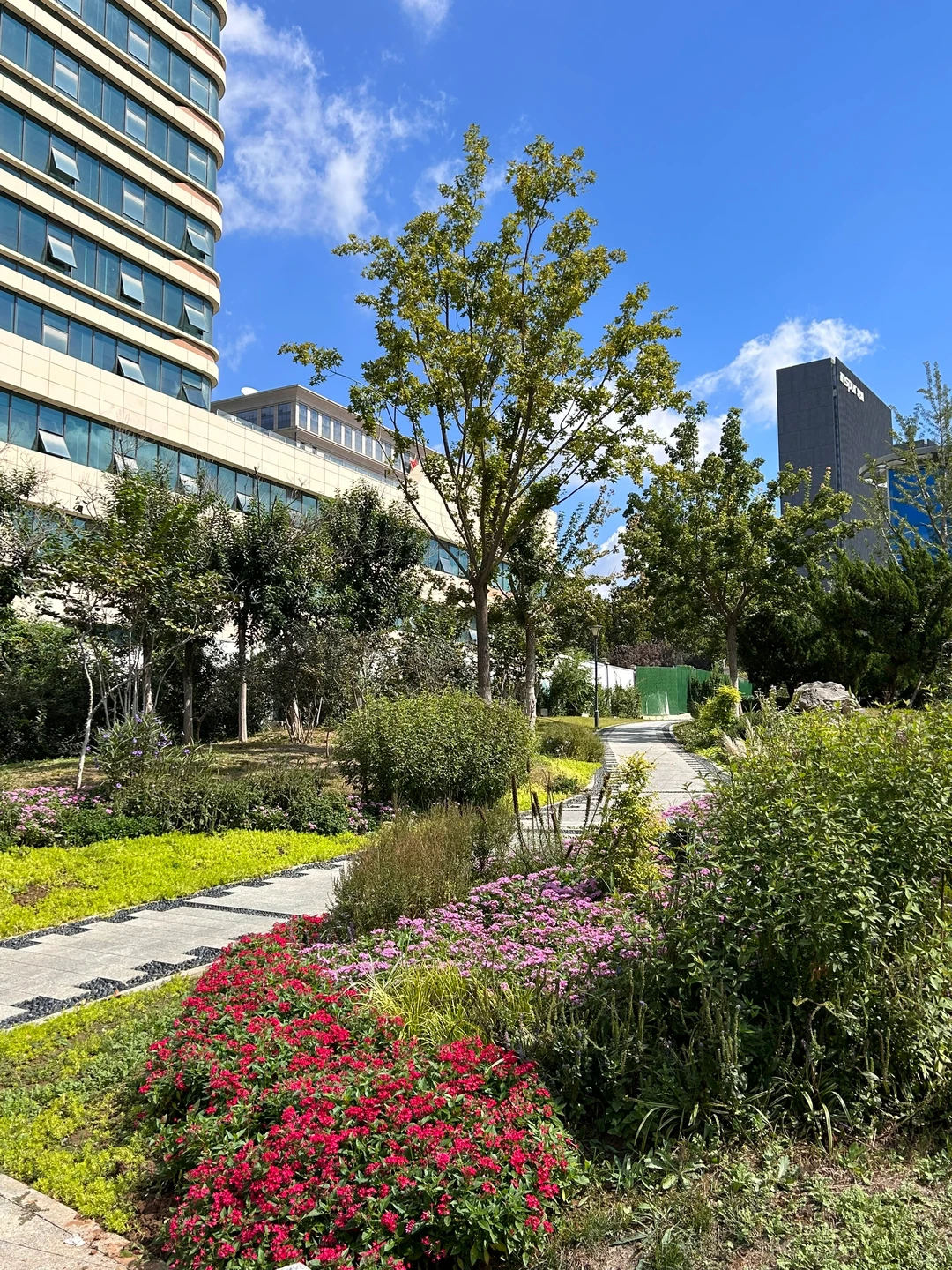 谁敢相信这是今天的济南