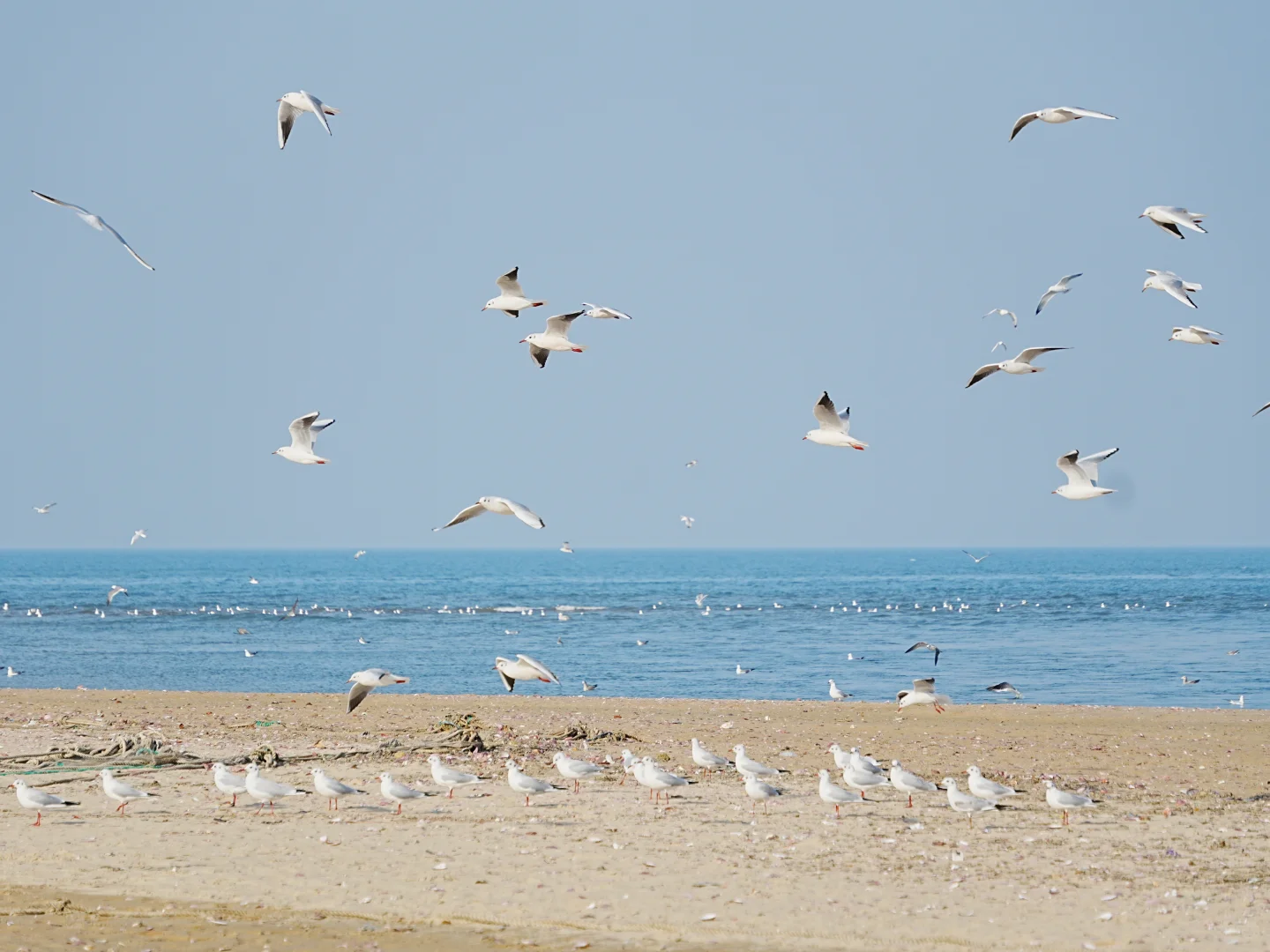 烟台真的很舒服