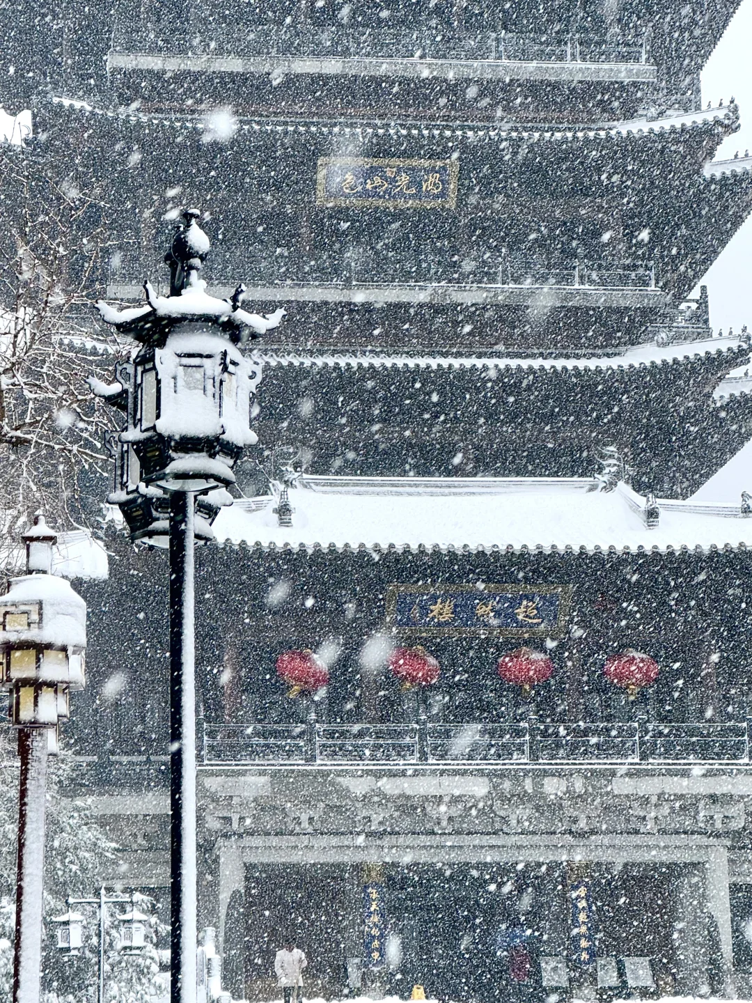 济南降温！！！冬天真的杀疯了！！！！！！（Live图！