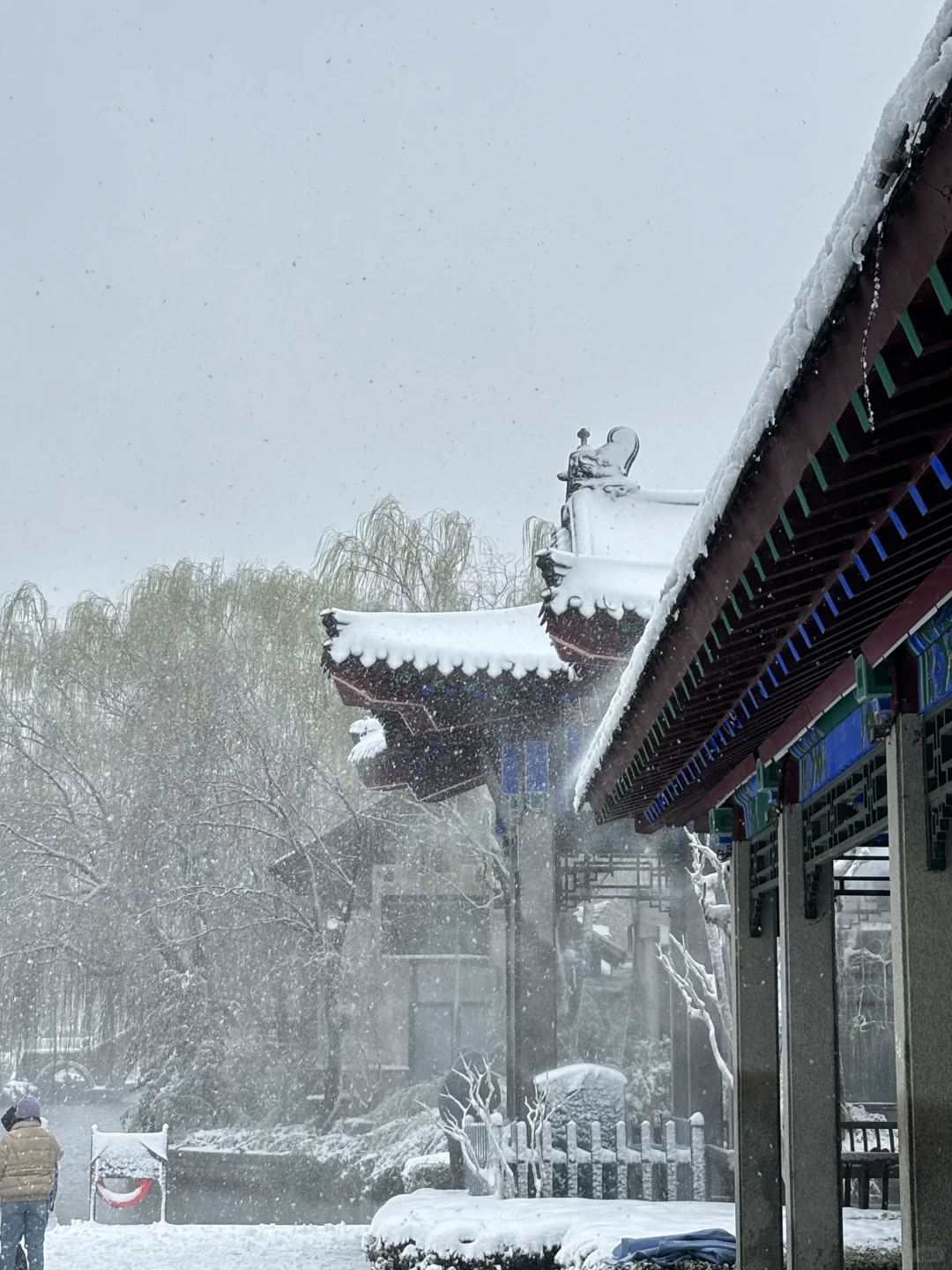 济南降温！！！冬天真的杀疯了！！！！！！（Live图！