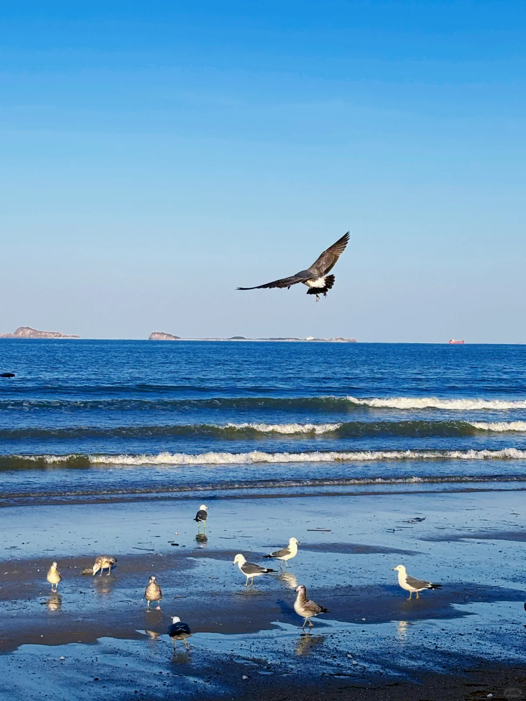 烟台！终于遇到我的理想海边城市