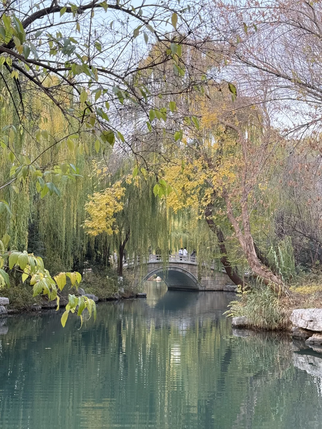 住在济南的法国人 🇫🇷
