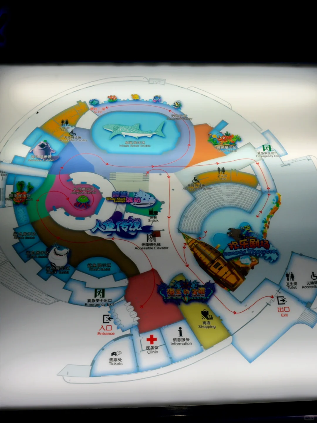 带小朋友在烟台海昌鲸鲨海洋公园畅游🐳