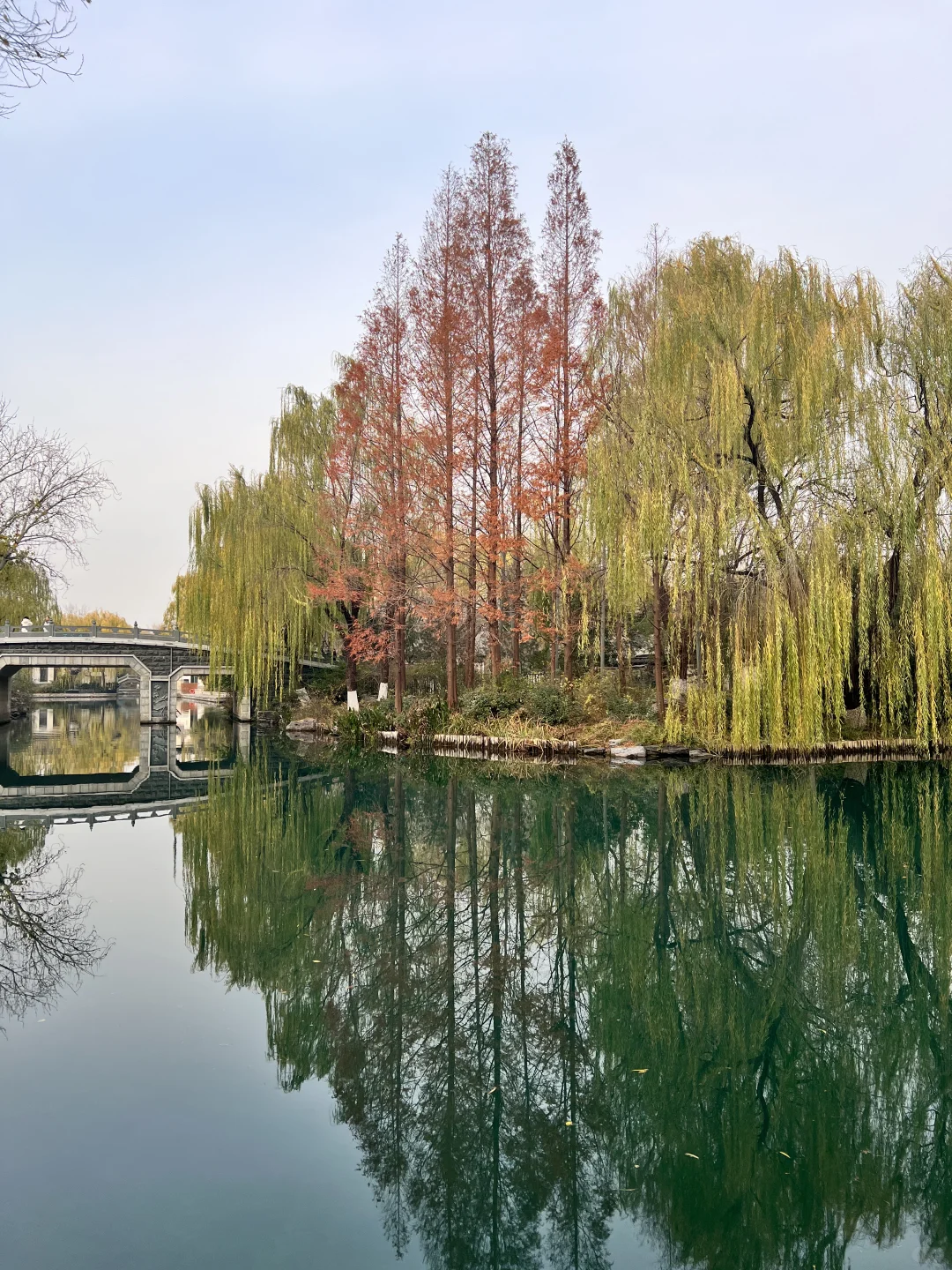 12.7日初冬的绝美大明湖