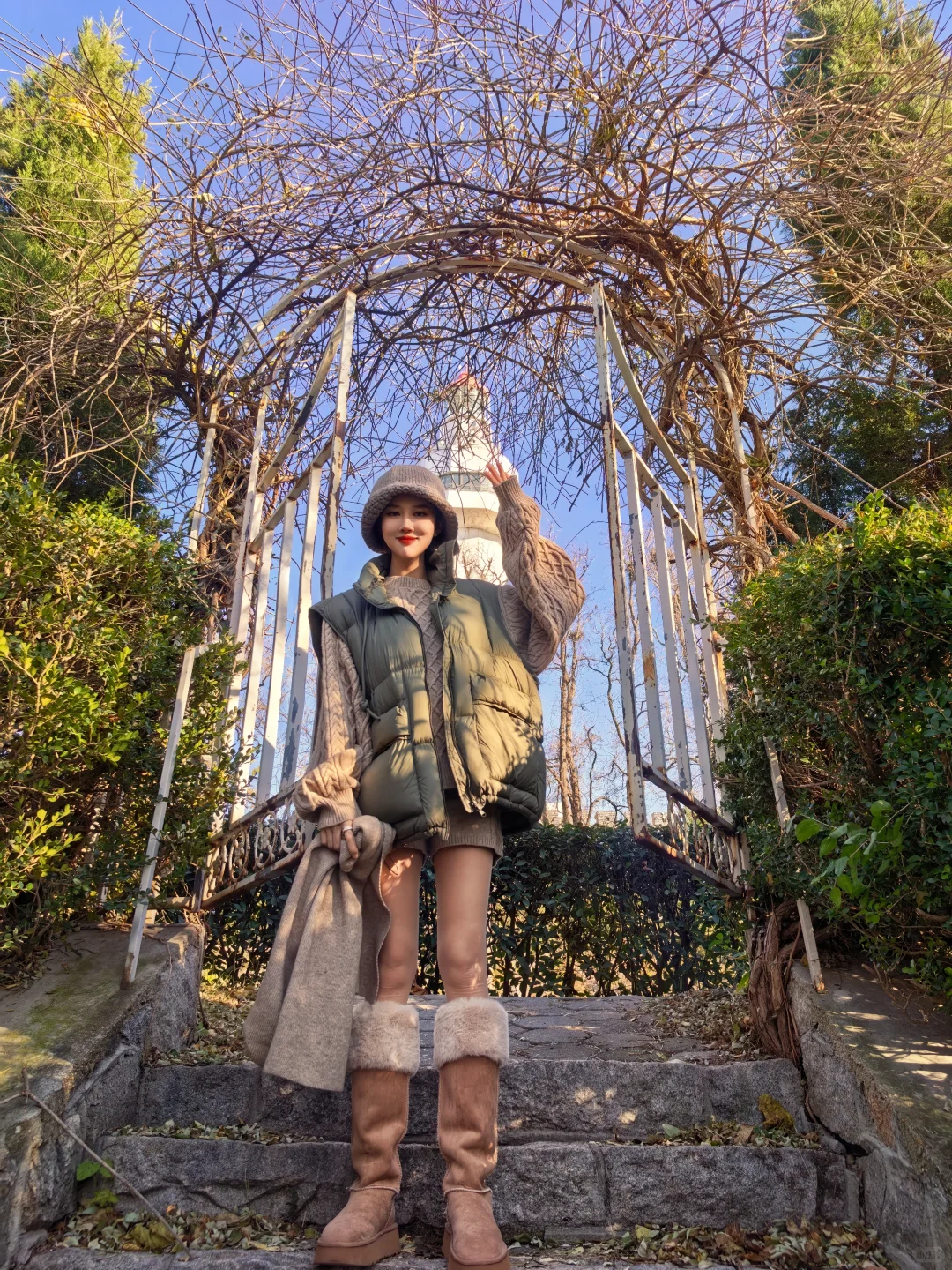 烟台山的鸡爪树