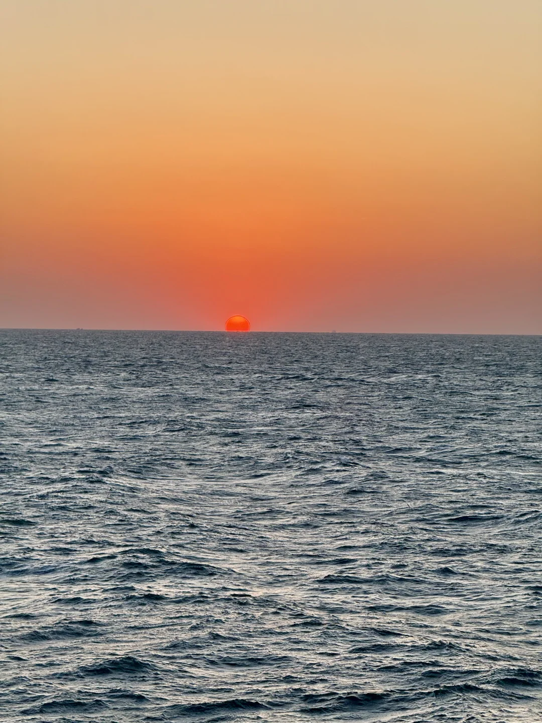 与世界失联的7h ⛴️