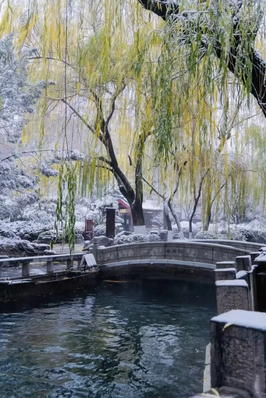 一起去看老舍笔下济南的冬天吧