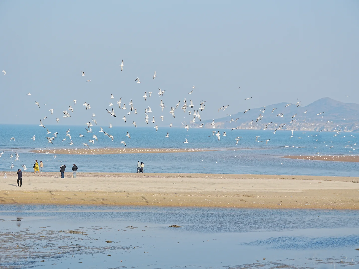 烟台真的很舒服