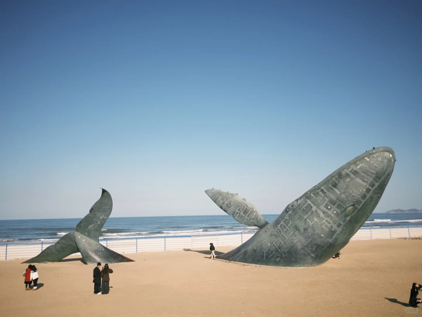 爱上淡季没有人的烟台🌊