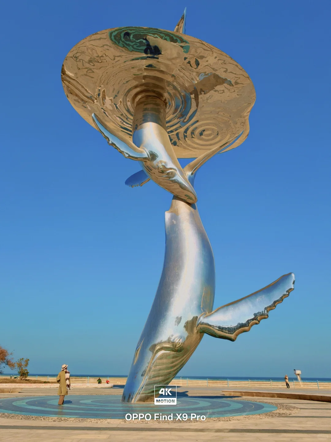 live图，淡季的烟台真是人间理想‼️