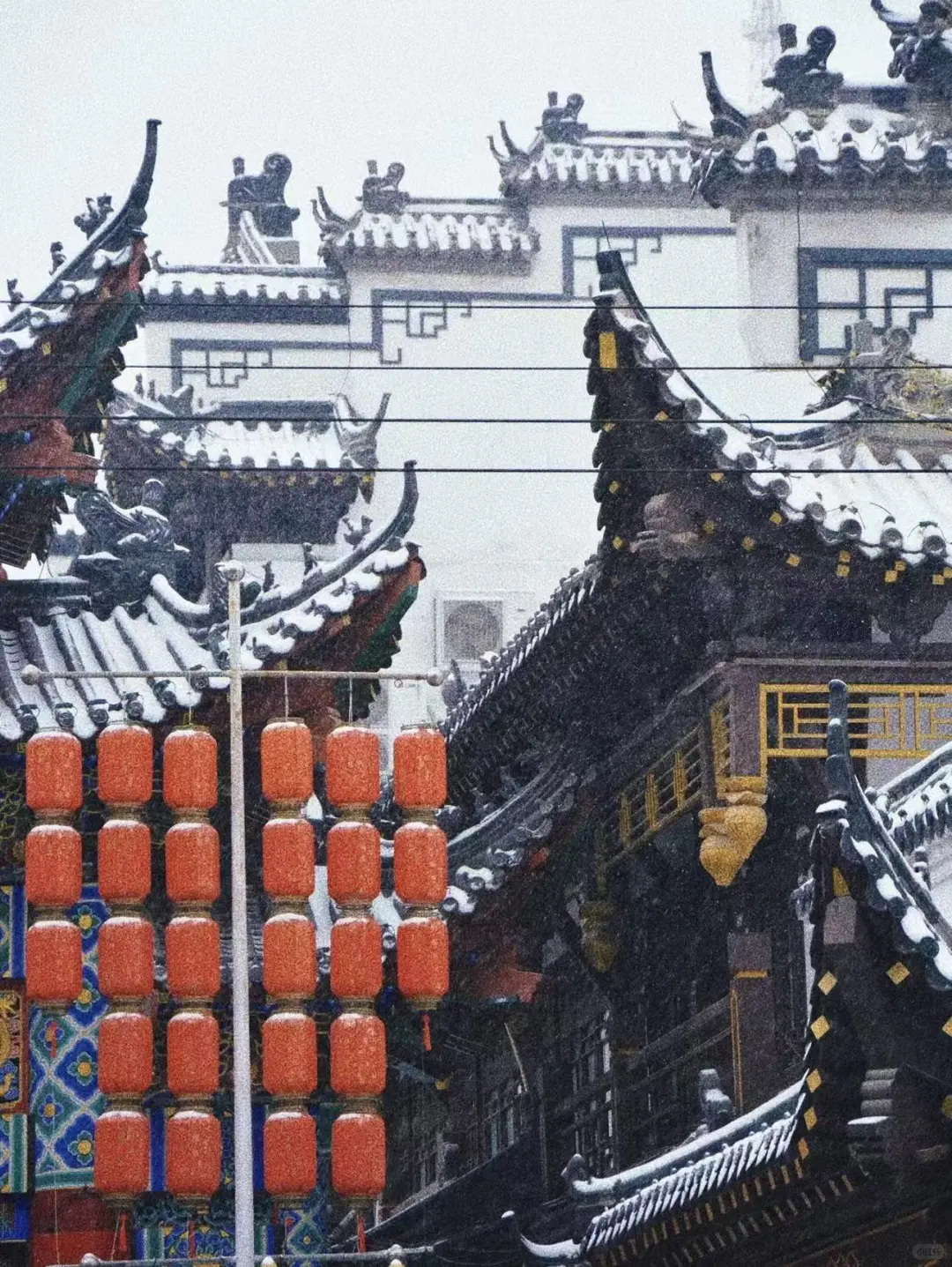 一起去看老舍笔下济南的冬天吧