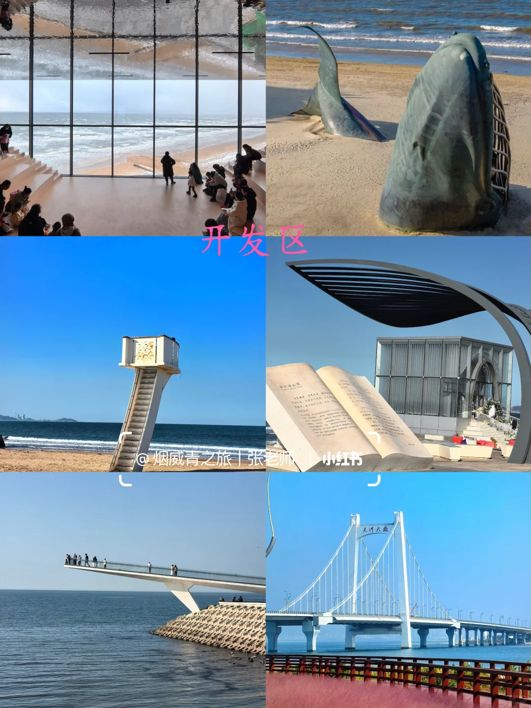 谁懂啊，来烟台看雪最省心的游玩方式！