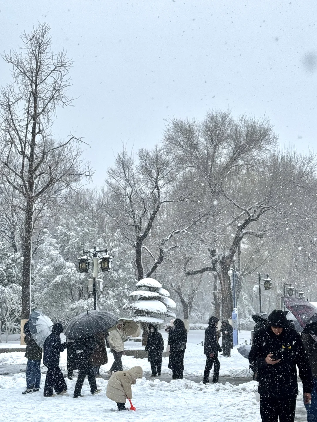 济南降温！！！冬天真的杀疯了！！！！！！（Live图！