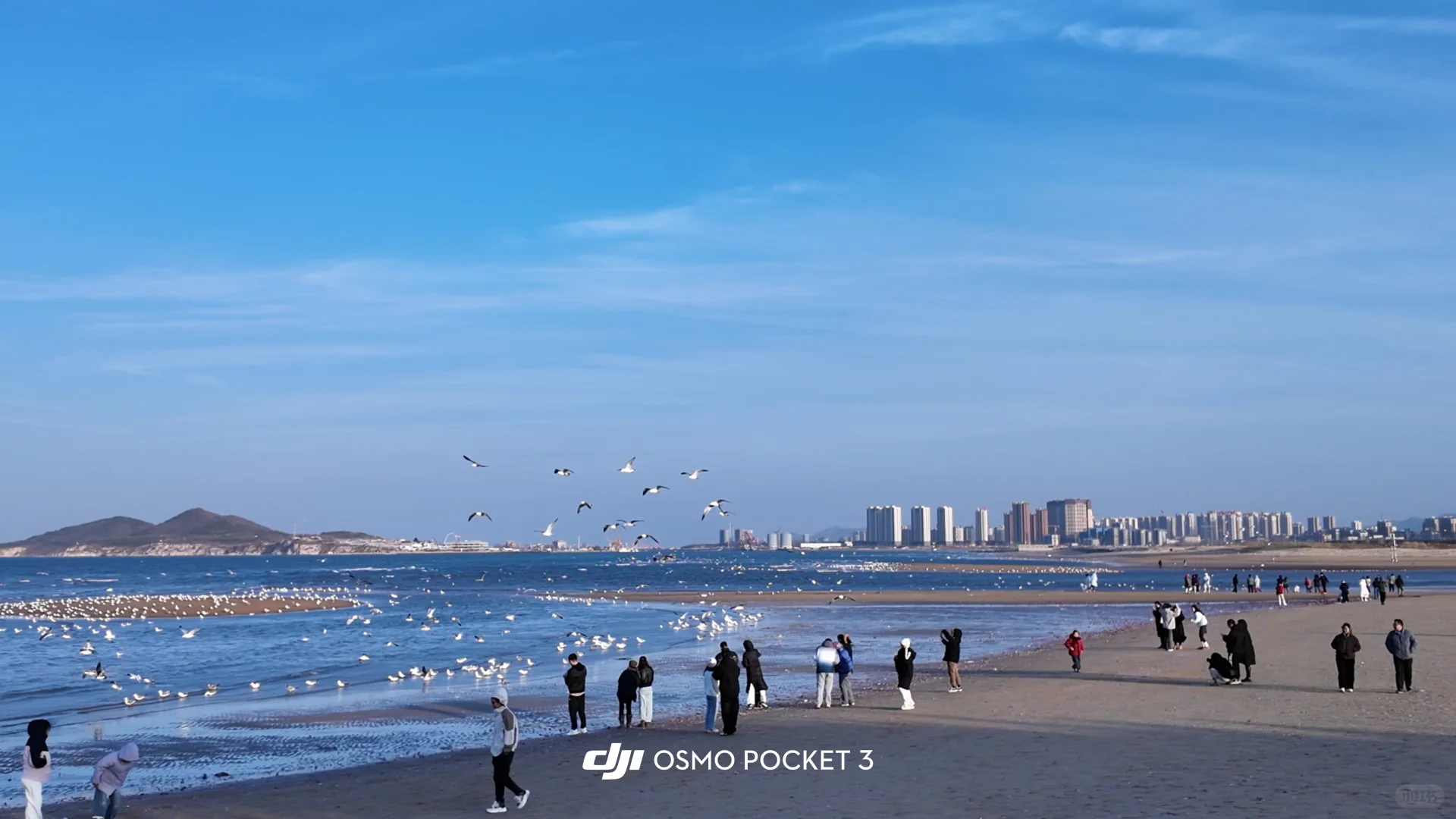 爱上淡季没有人的烟台🌊