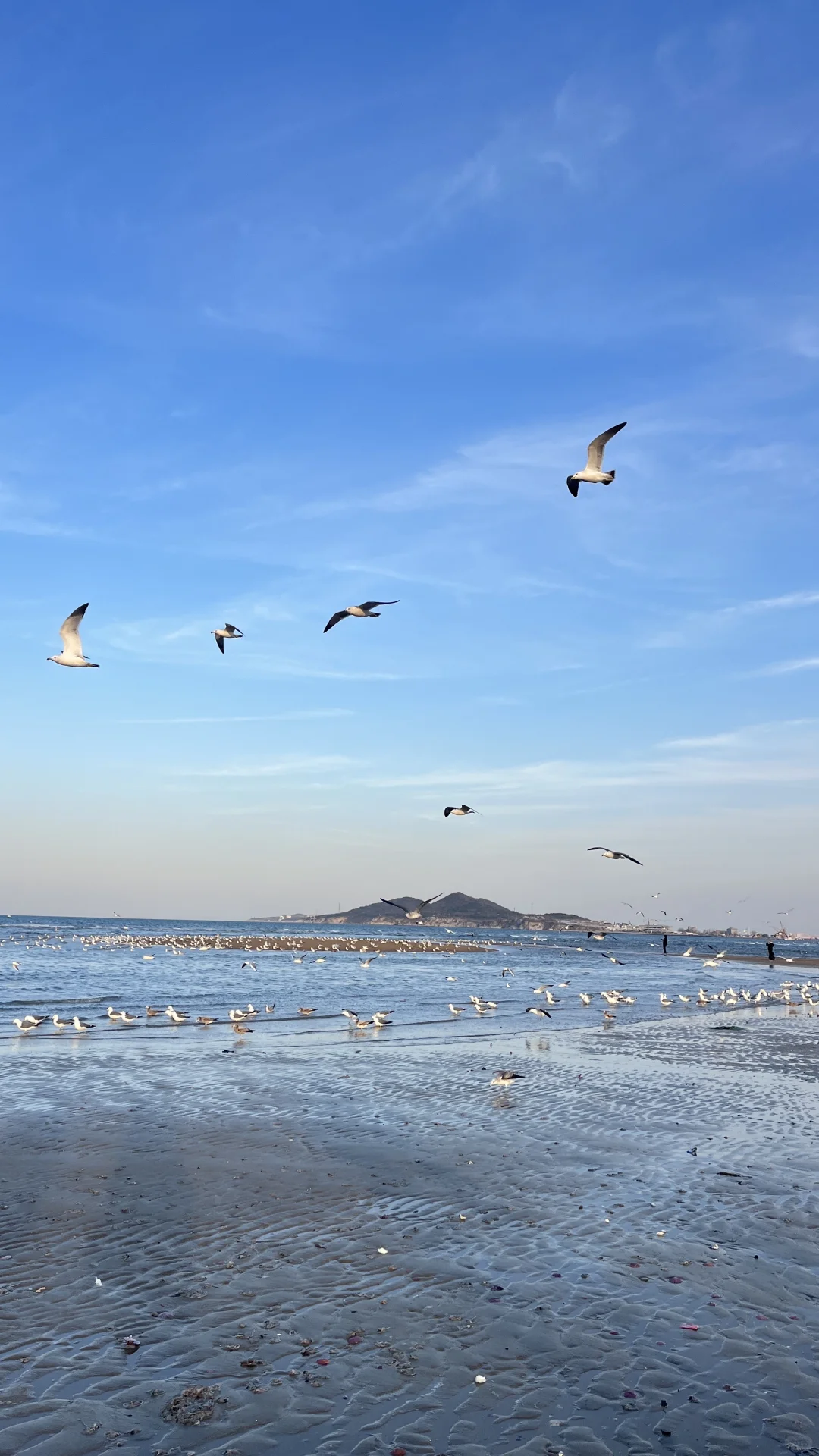 爱上淡季没有人的烟台🌊