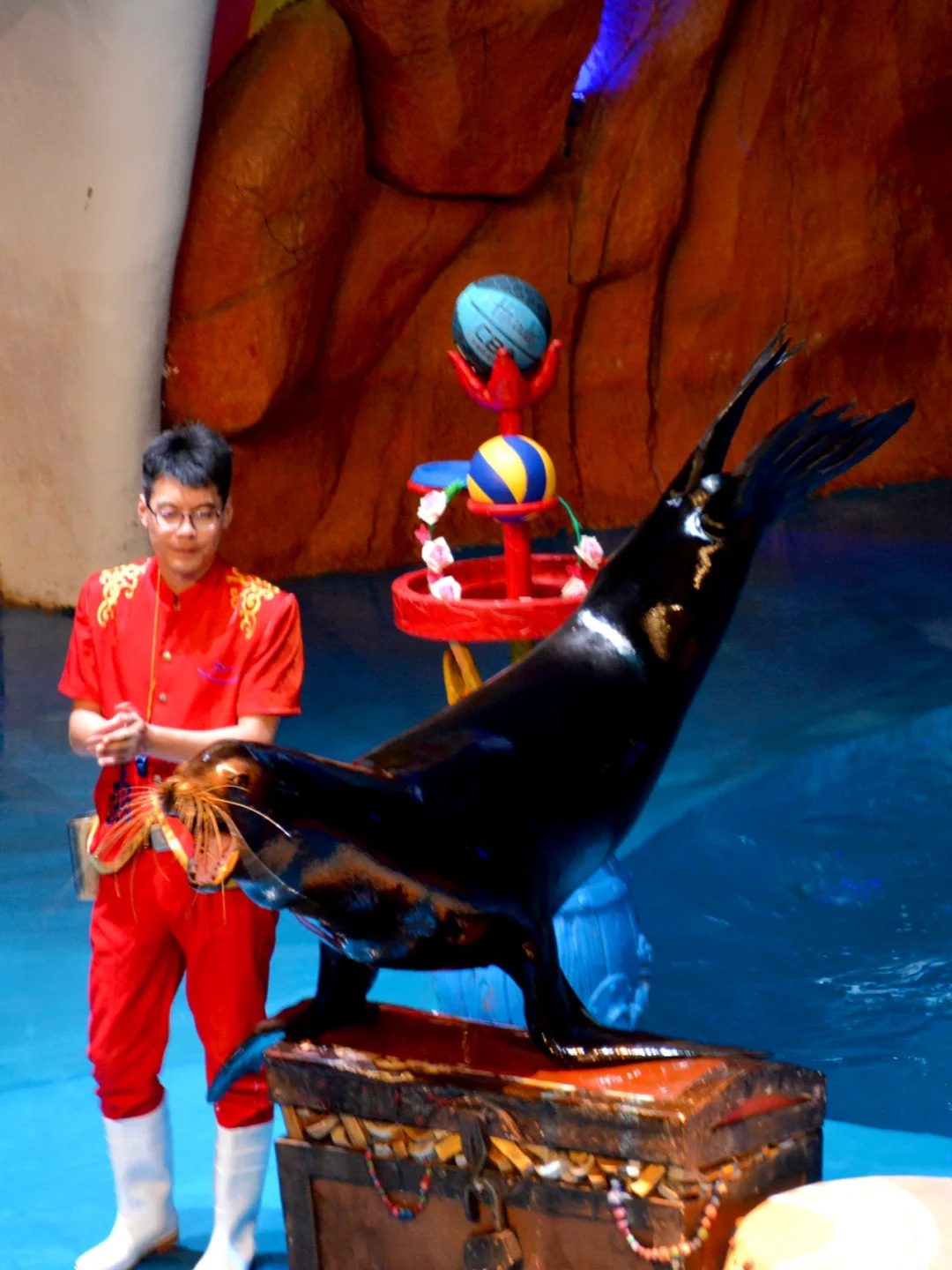 带小朋友在烟台海昌鲸鲨海洋公园畅游🐳