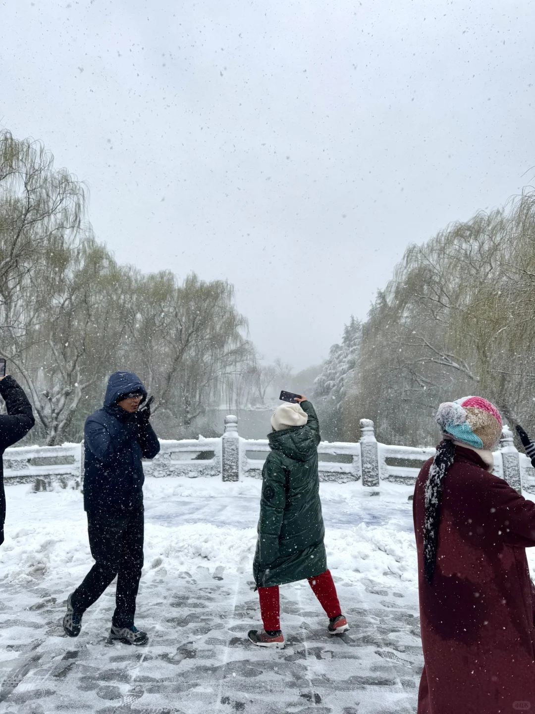 济南降温！！！冬天真的杀疯了！！！！！！（Live图！