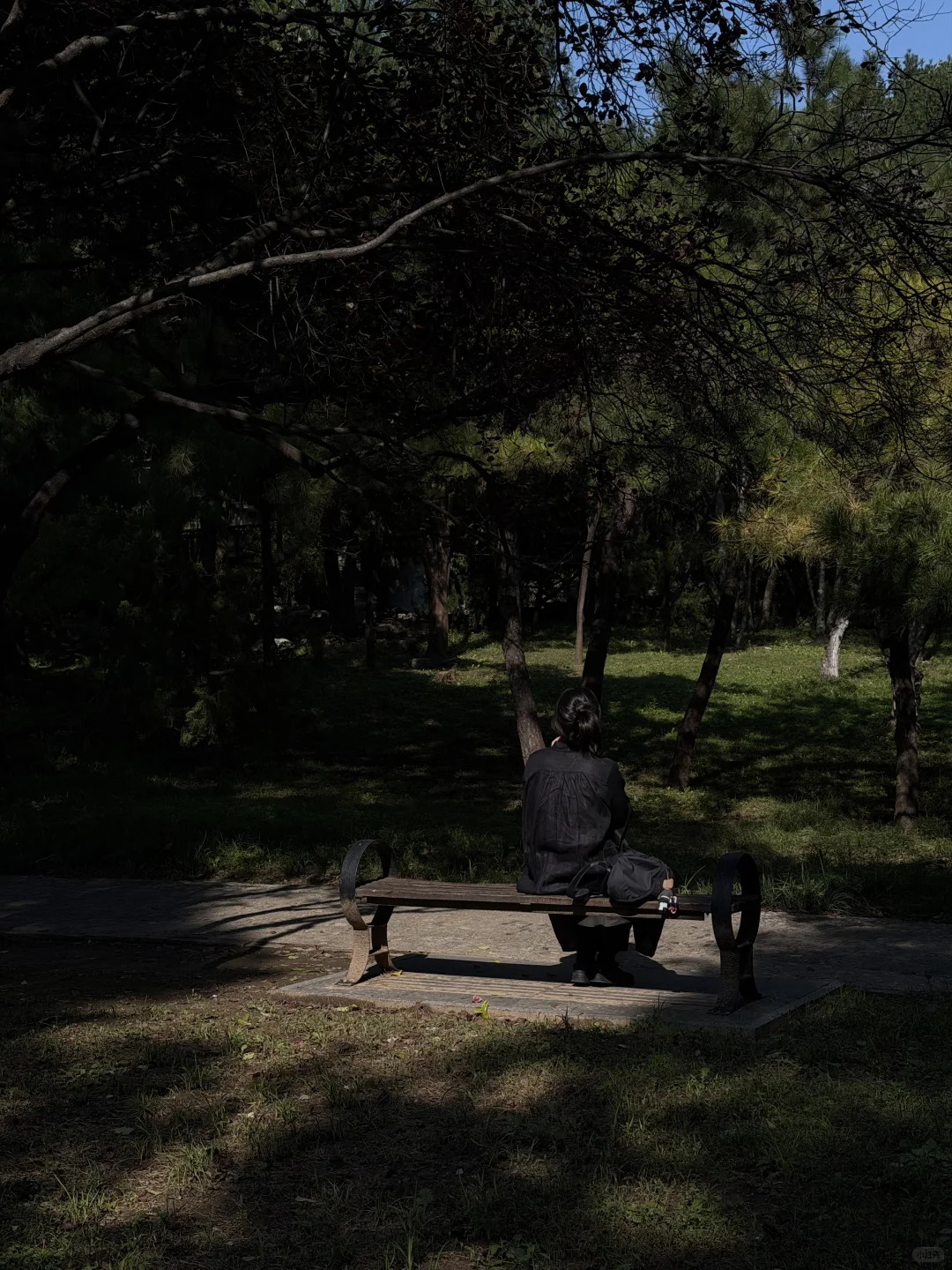 济南的秋冬是一种感觉