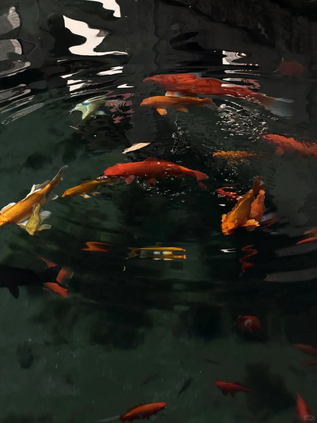 济南的秋冬是一种感觉