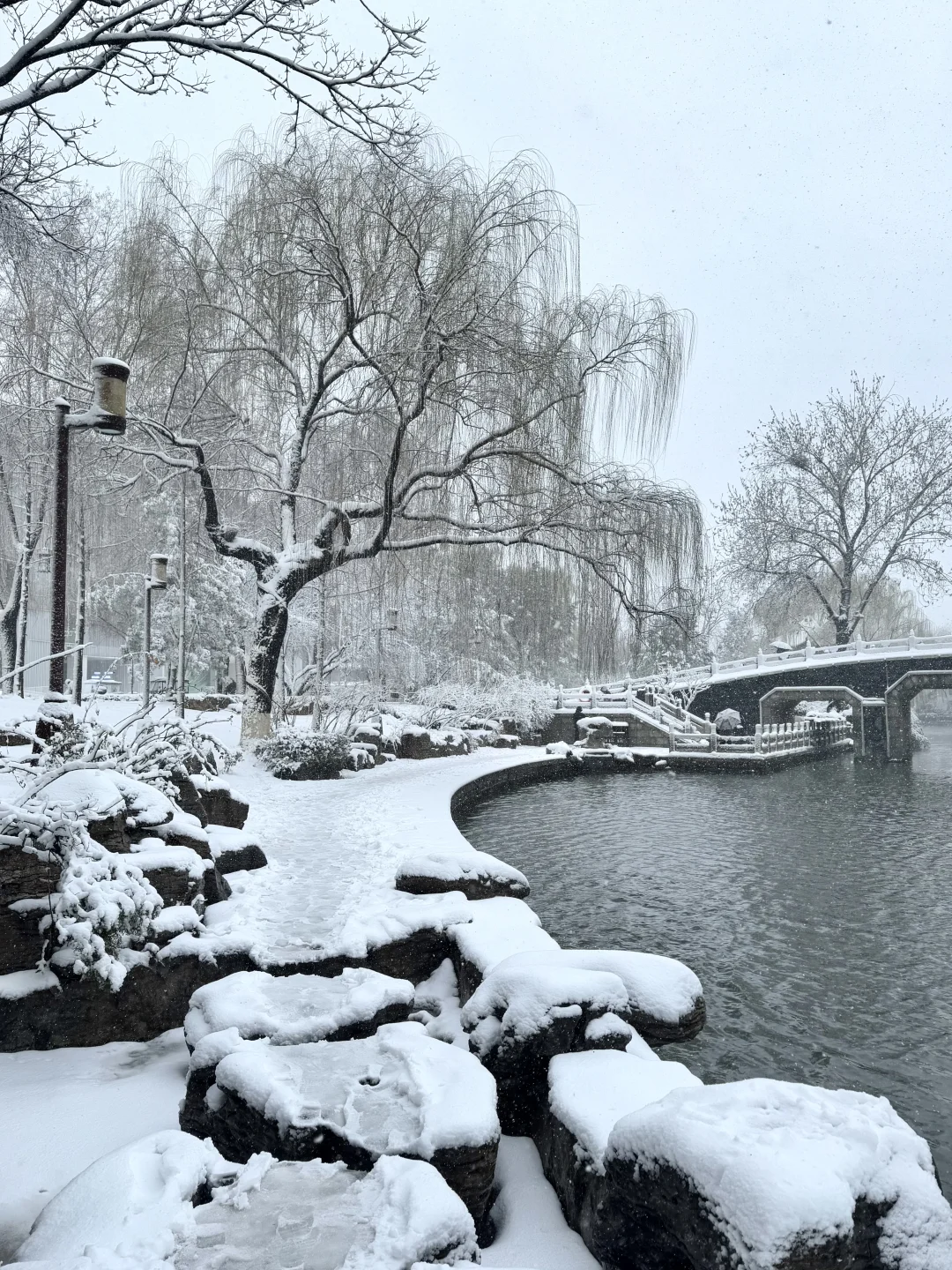 济南降温！！！冬天真的杀疯了！！！！！！（Live图！