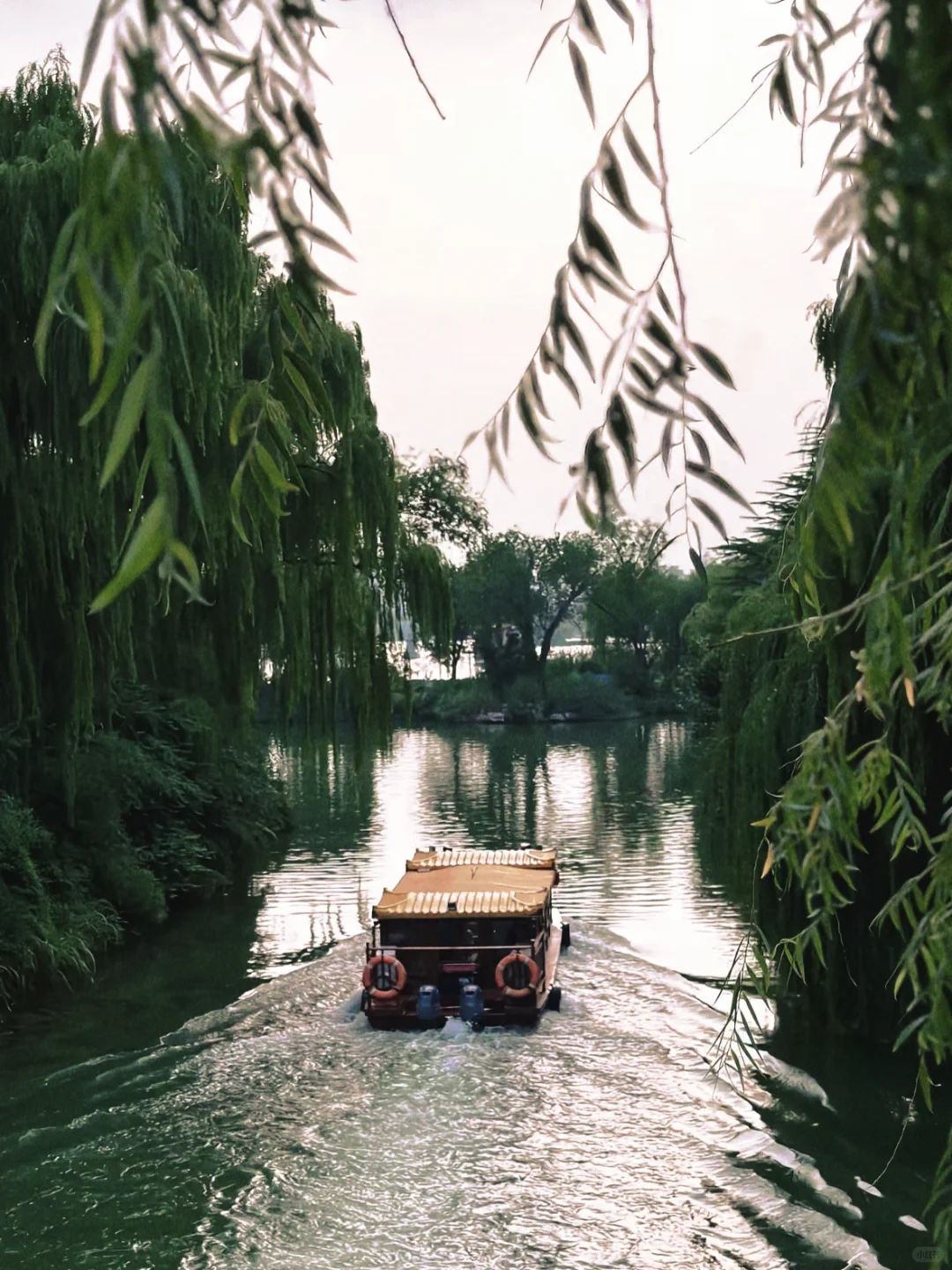 靠着老舍逛济南的冬天～超美citywalk路线