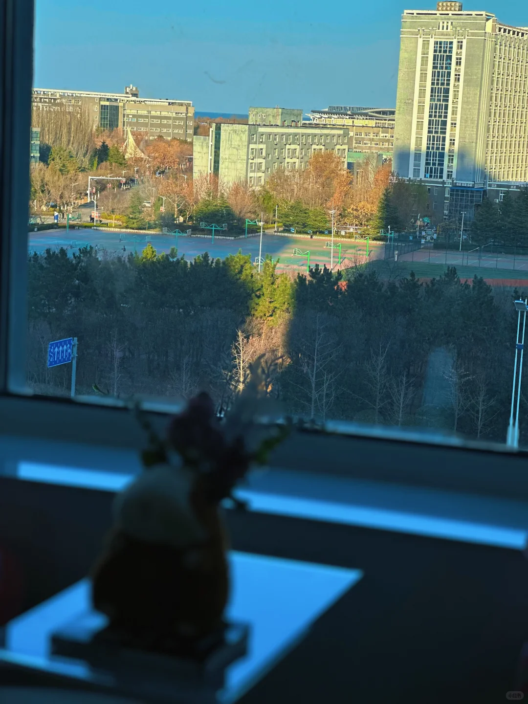 这家民宿，温暖了我整个寒冬