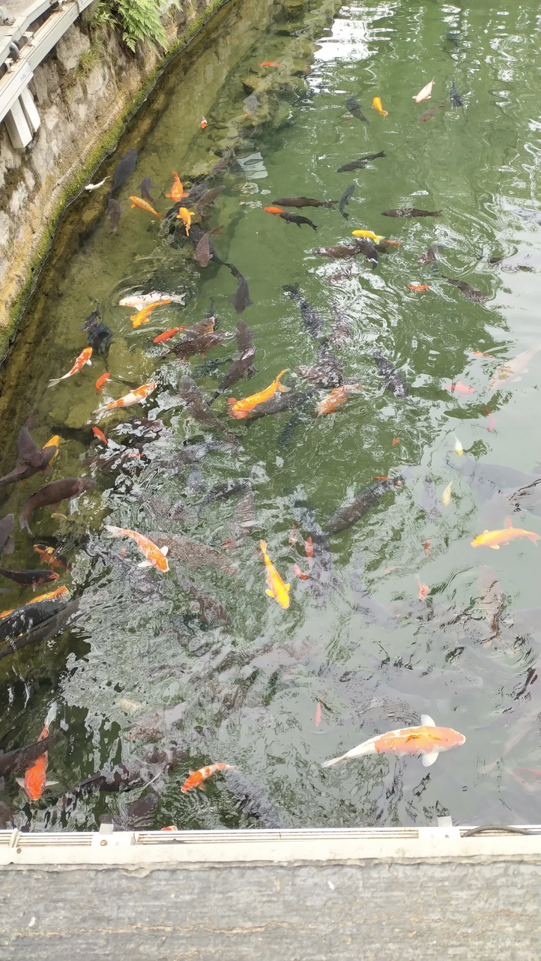 来济南溜达的一天