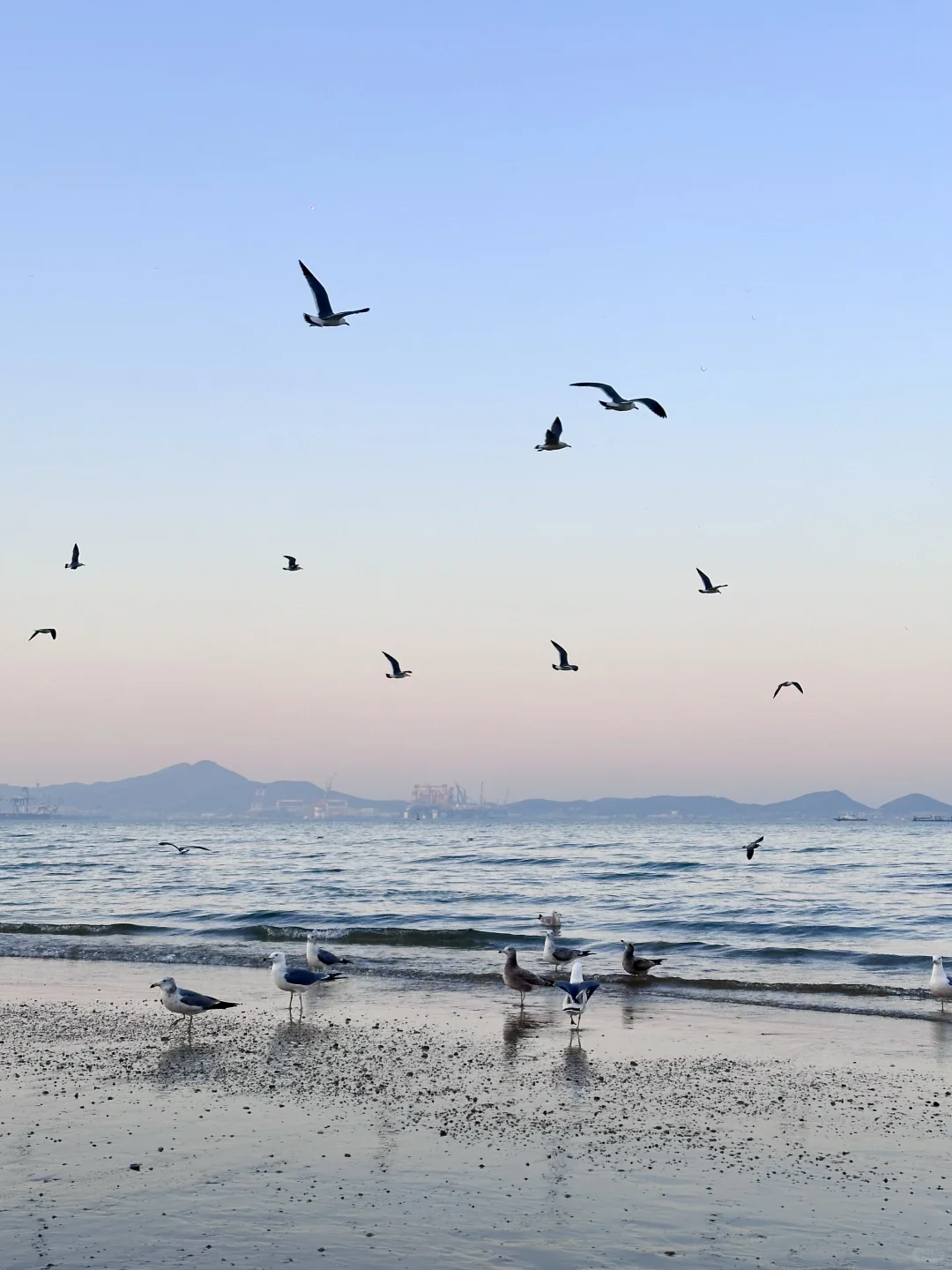 live实况，没人告诉我烟台这么美啊。。。