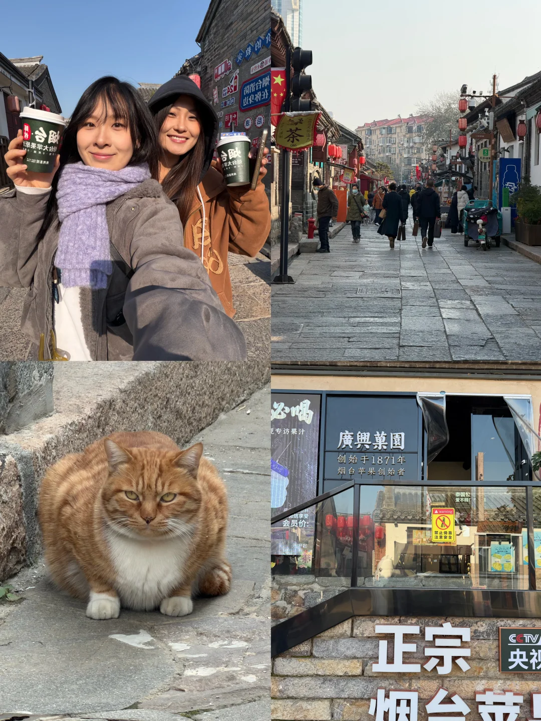 ❄️冬天真的应该去烟台玩！！！！（攻略版