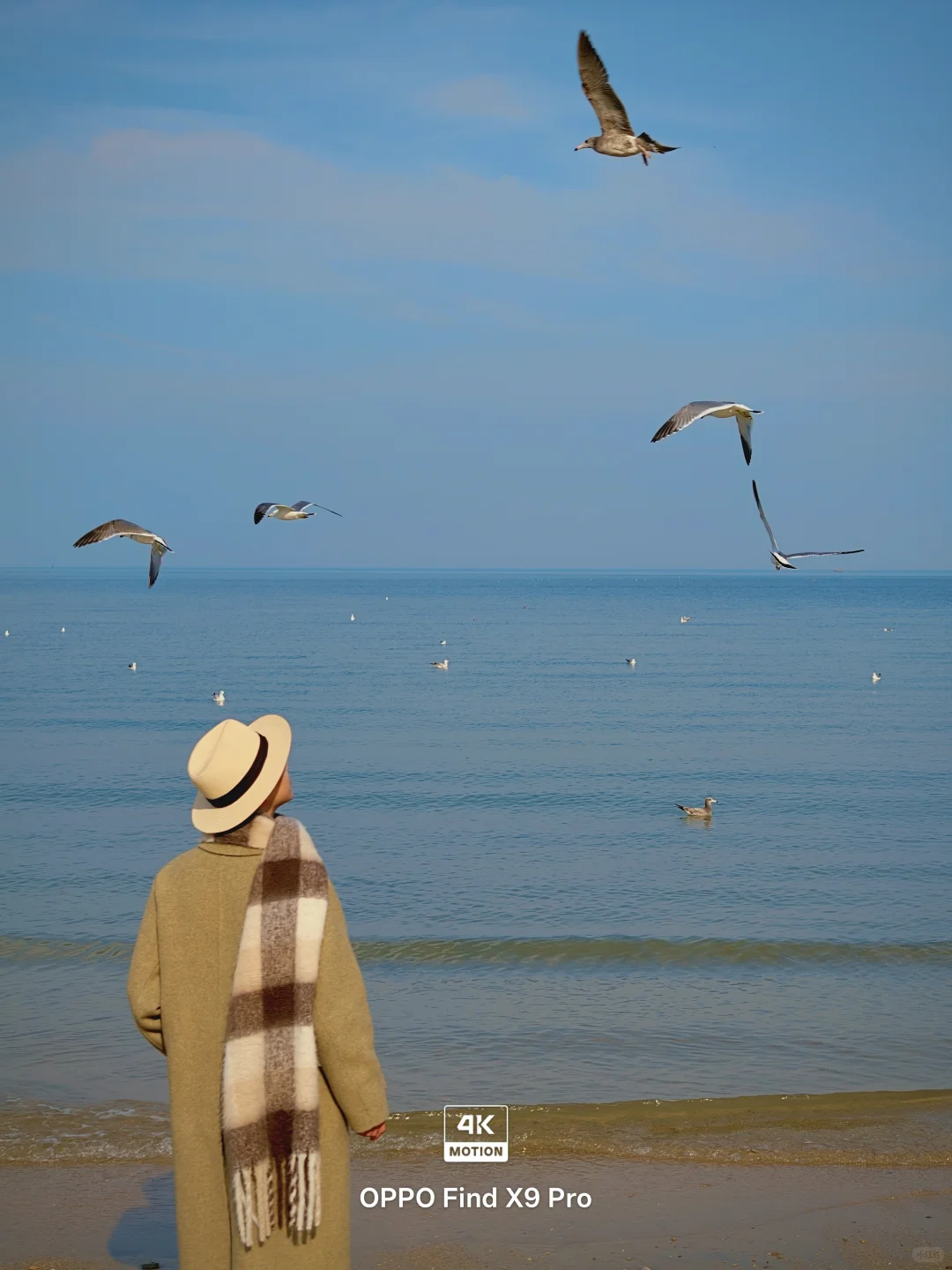 live图，淡季的烟台真是人间理想‼️