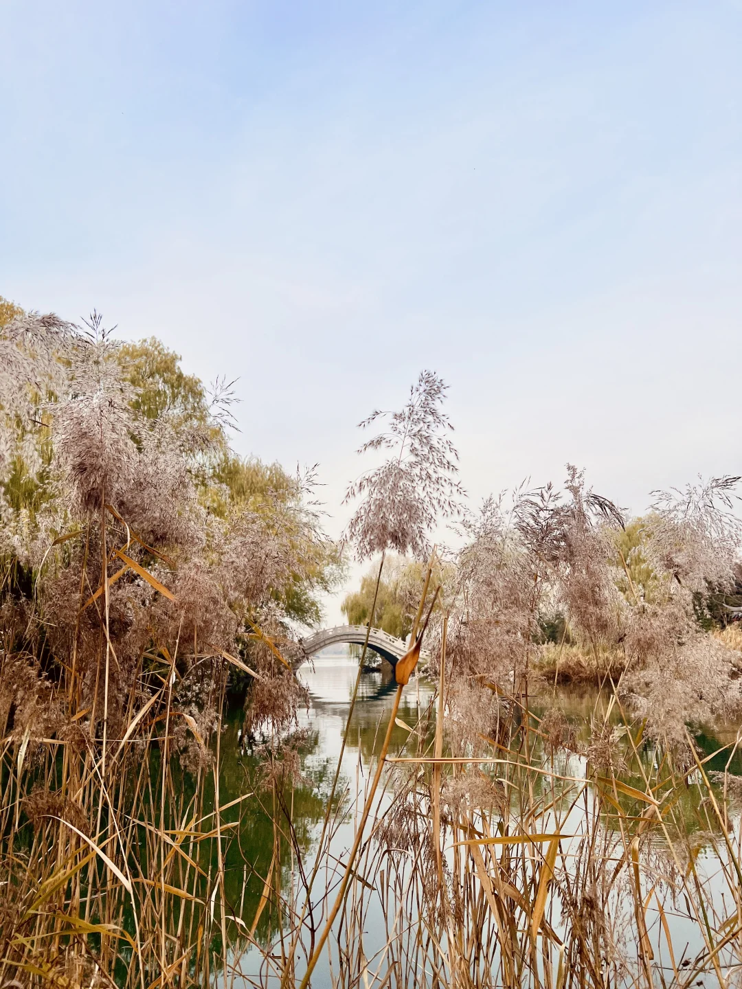 12.7日初冬的绝美大明湖