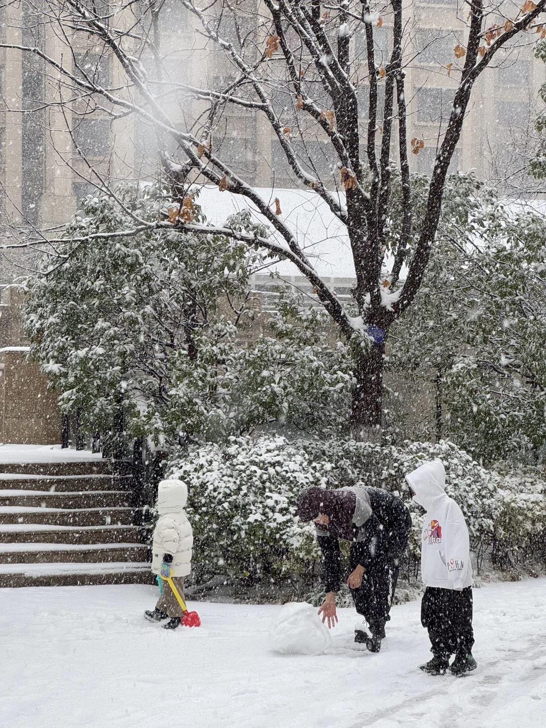 济南降温！！！冬天真的杀疯了！！！！！！（Live图！