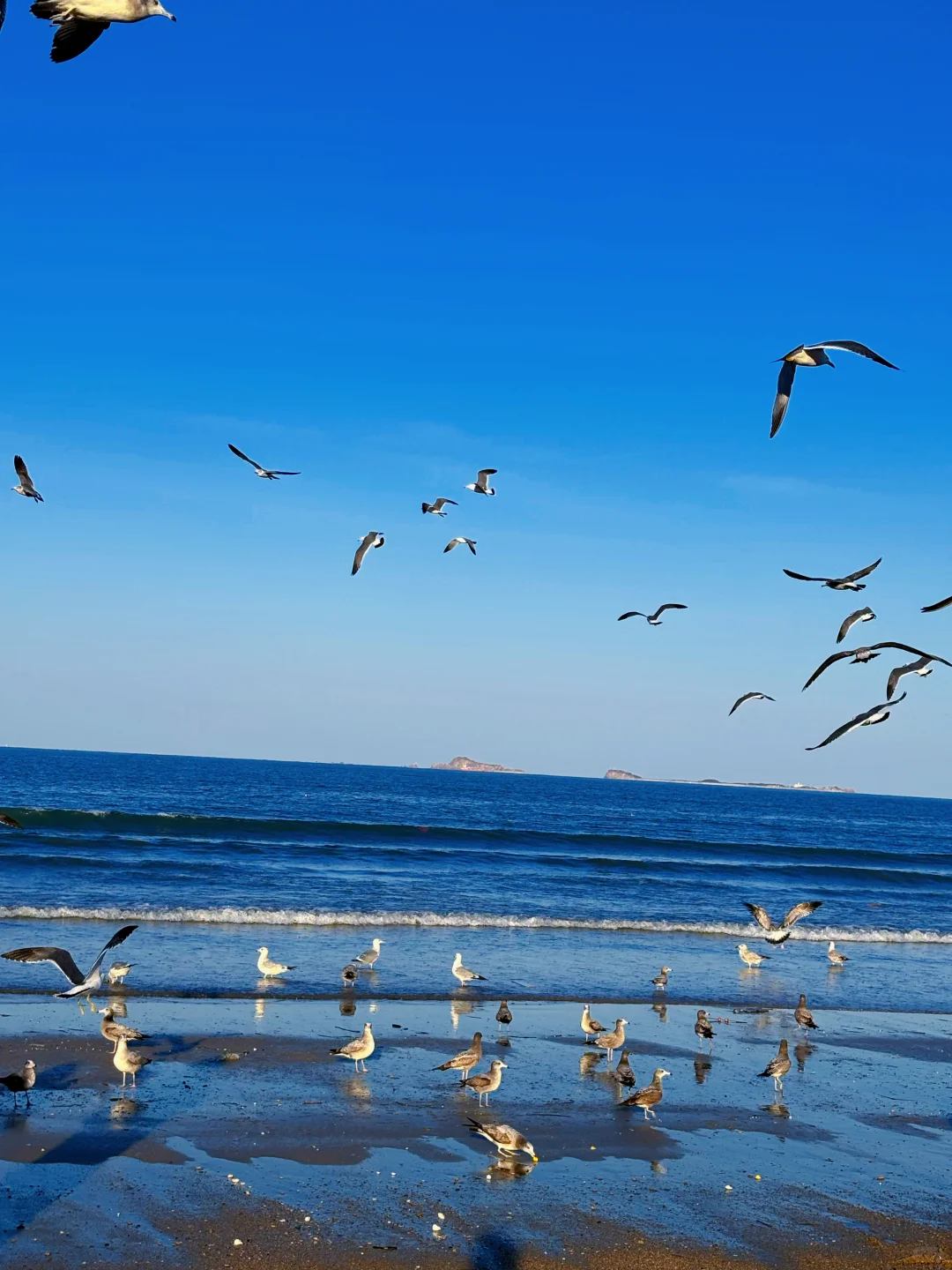 烟台！终于遇到我的理想海边城市