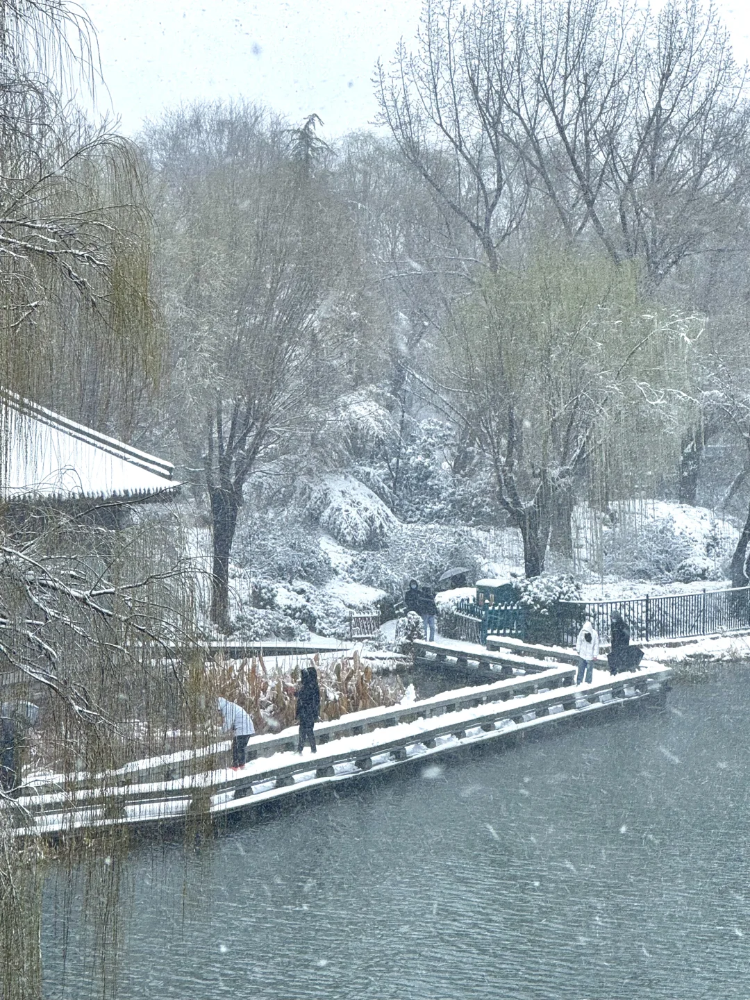 济南降温！！！冬天真的杀疯了！！！！！！（Live图！