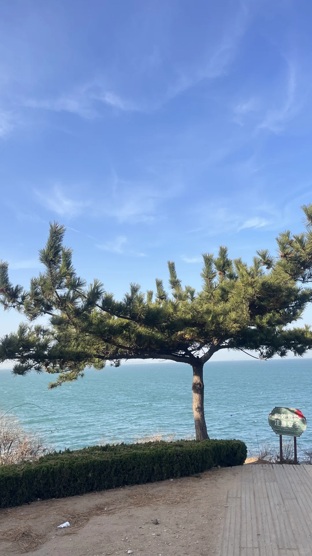 爱上淡季没有人的烟台🌊