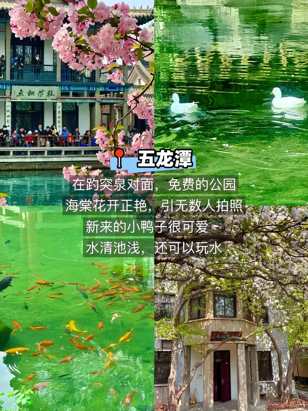 济南、济南的济南是这样写的！