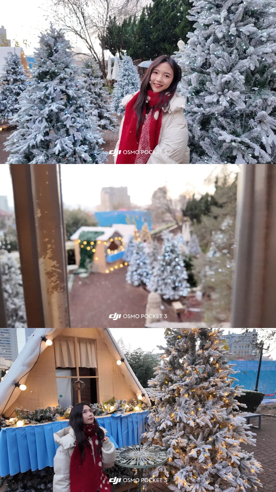 只记得那天你说要出发