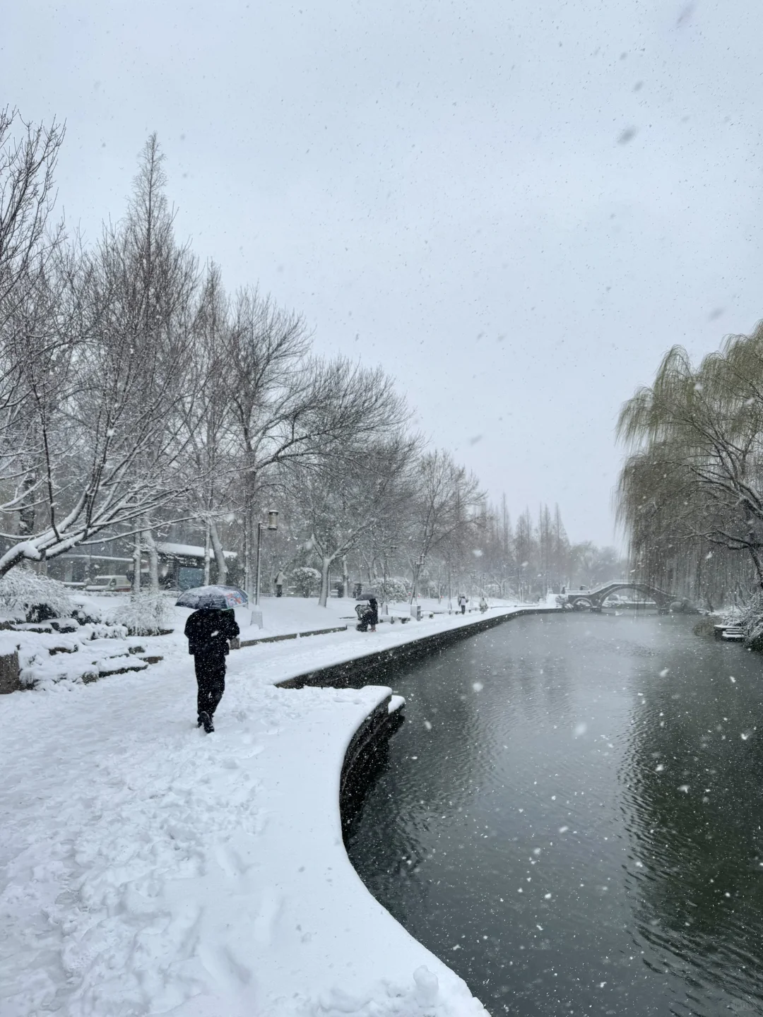 济南降温！！！冬天真的杀疯了！！！！！！（Live图！