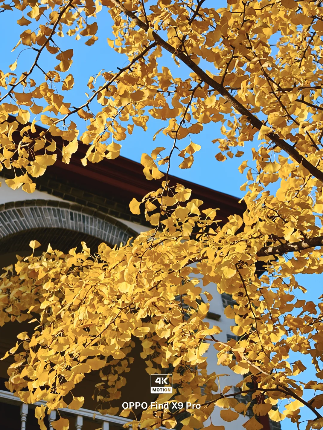 live图，淡季的烟台真是人间理想‼️