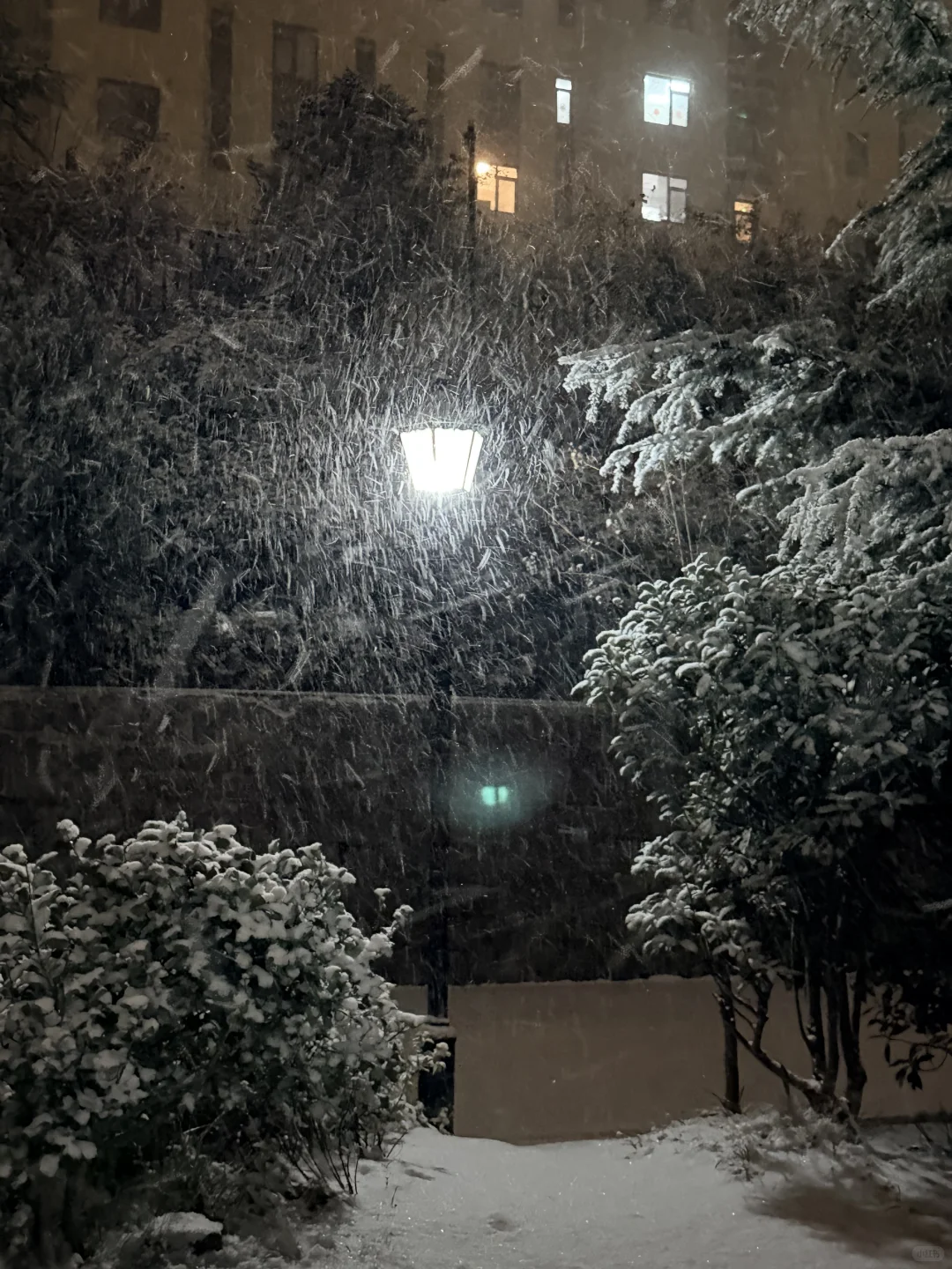 黄岛人！别睡了出门玩雪！！！！！！