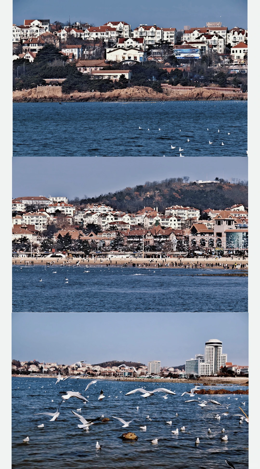 北京出发丨周末出游丨📍第四站：青岛