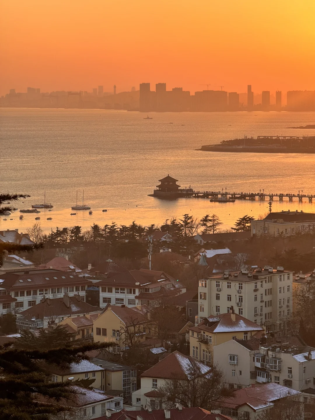 📍12.14号青岛实况 下雪后的青岛真的好美！