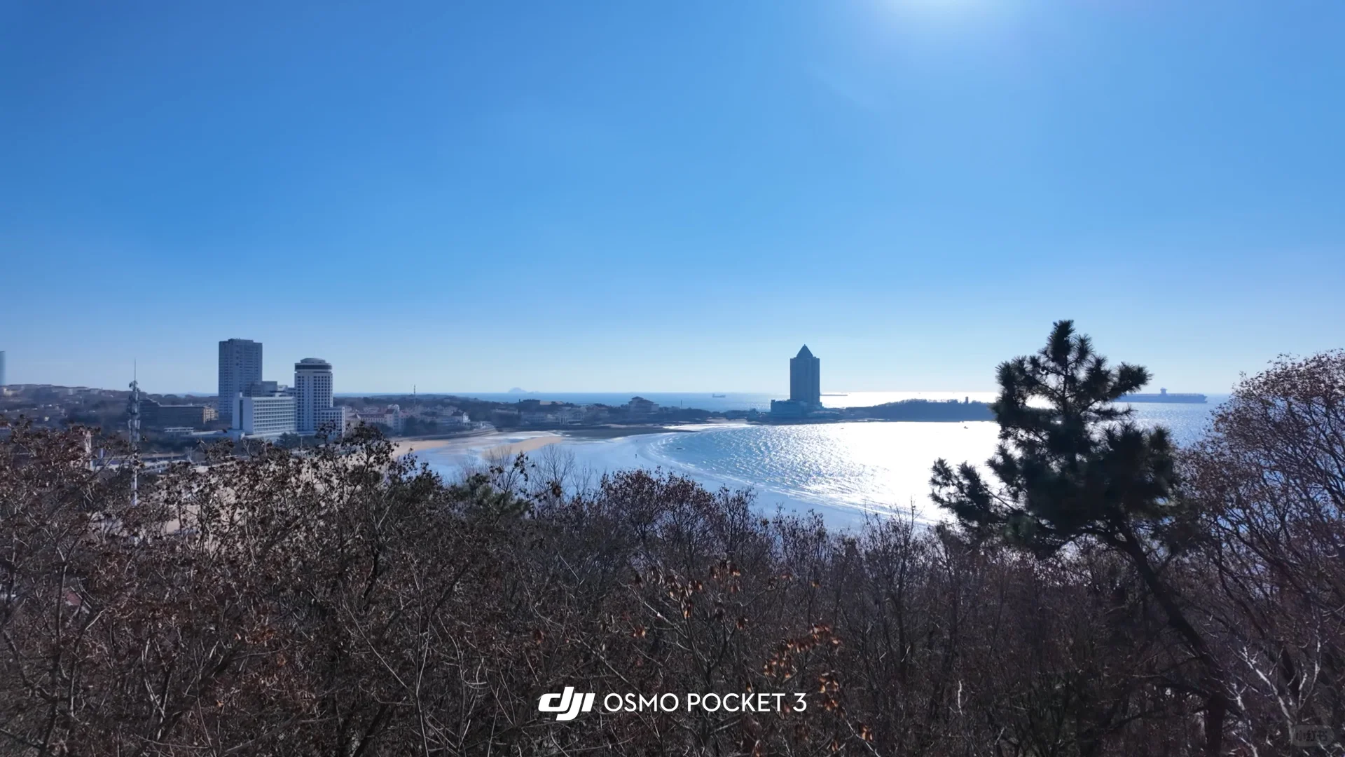 📍1.14来青岛了！冬天的大海怎么能不爱！