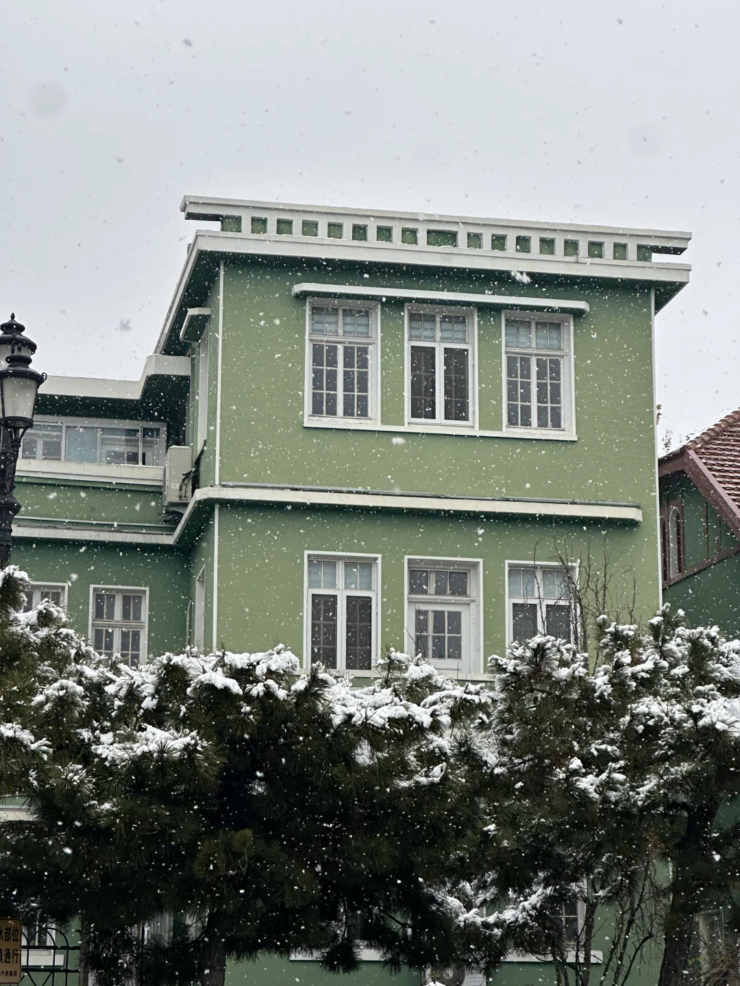 12.13初雪，在下雪天的青岛街道散步❄️