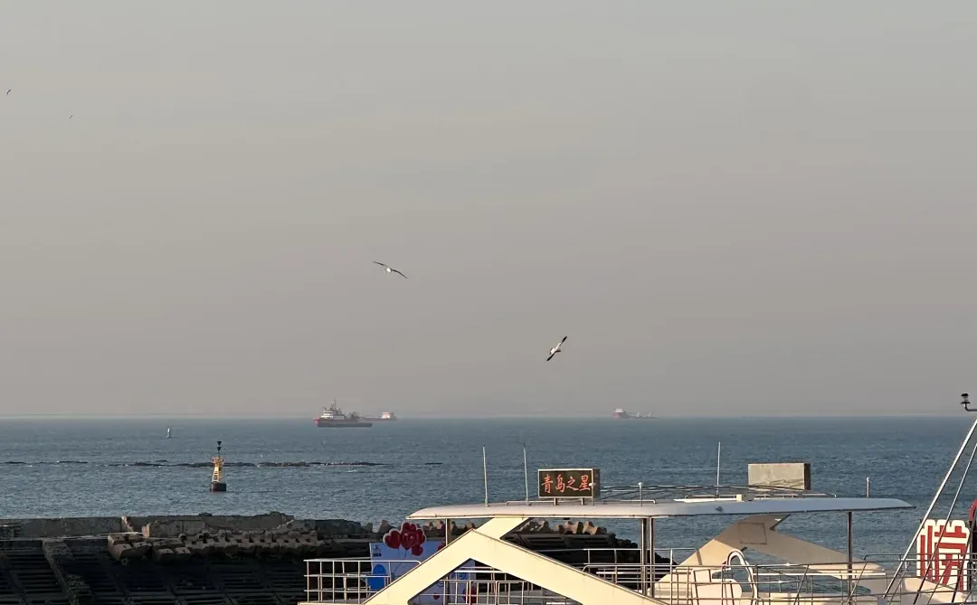 来青岛花的最值钱的。。。。。