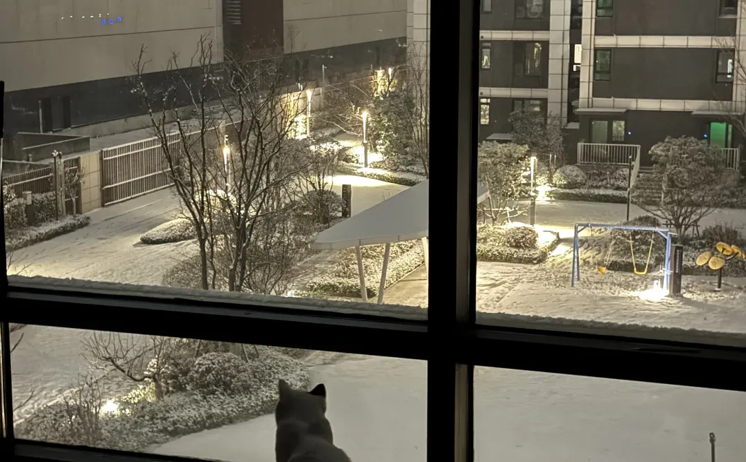 2025年双十二夜晚，青岛的初雪太浪漫了❄️