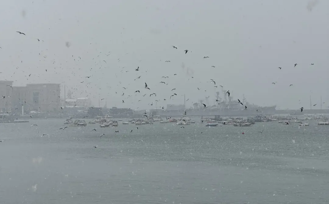 12.13初雪，在下雪天的青岛街道散步❄️