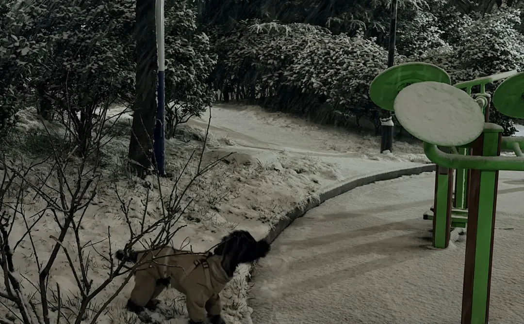 黄岛人！别睡了出门玩雪！！！！！！
