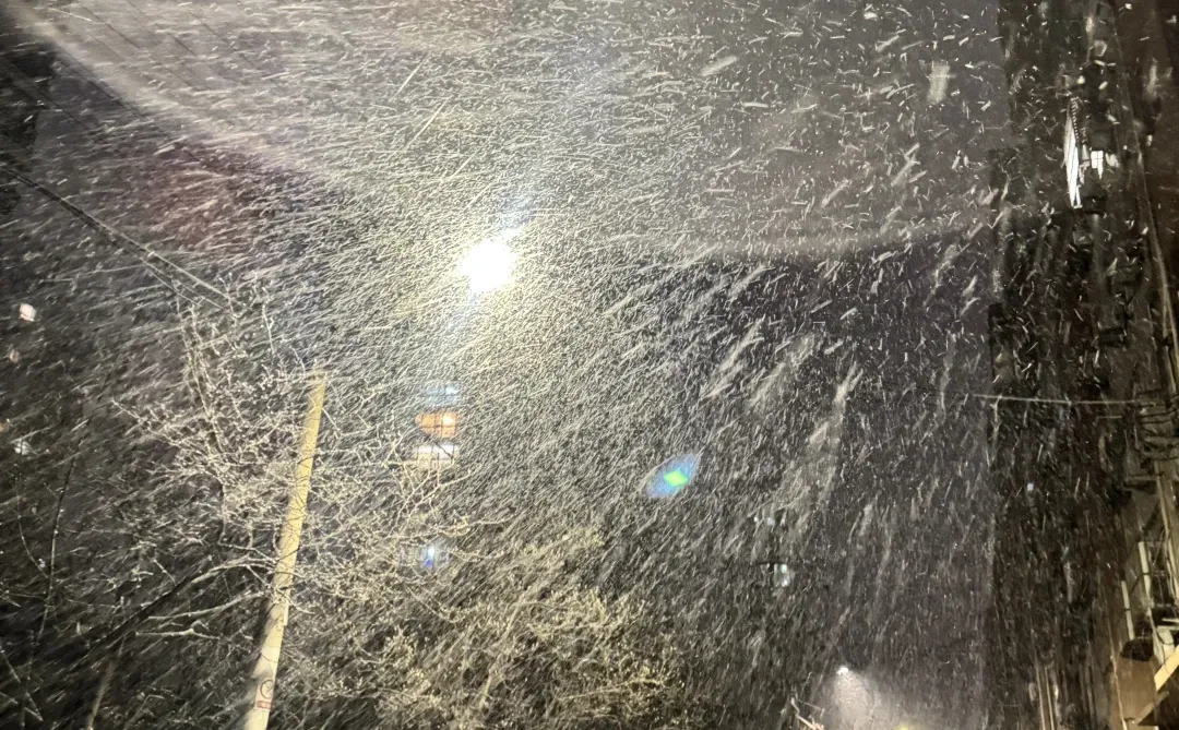 青岛下大雪了！！